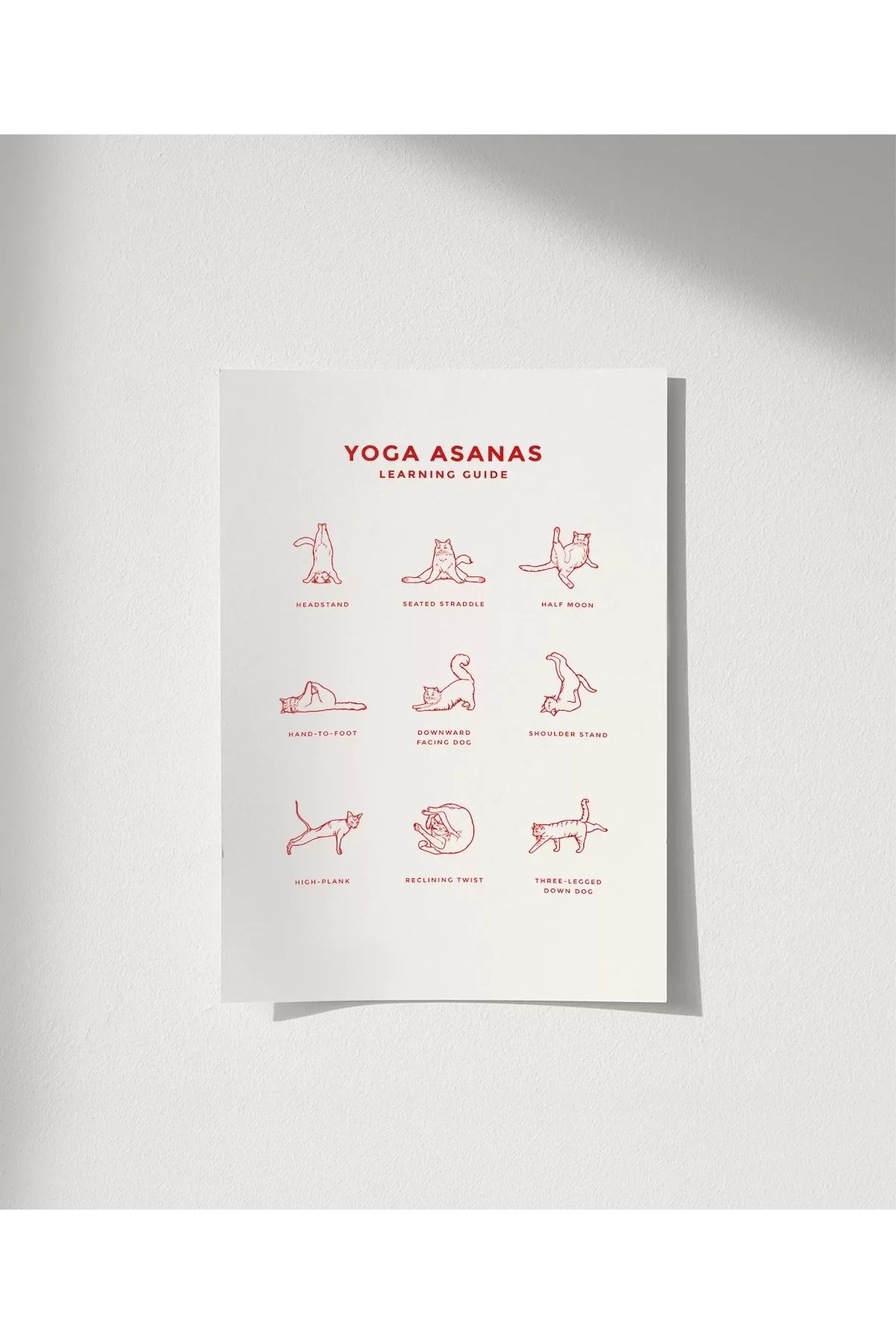 VOGLOO Çerçevesiz Poster Pati Yogası