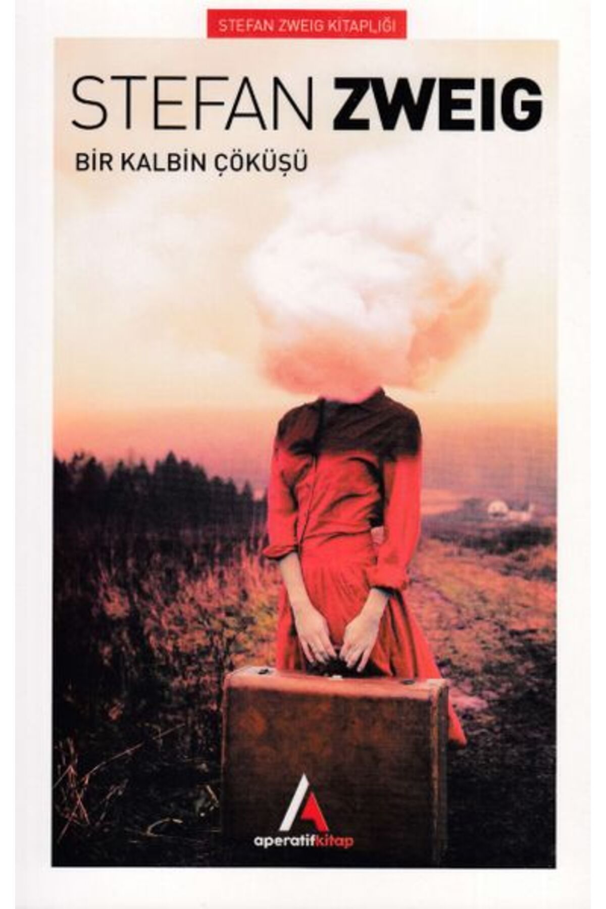 Karatay Yayınları Bir Kalbin Çöküşü