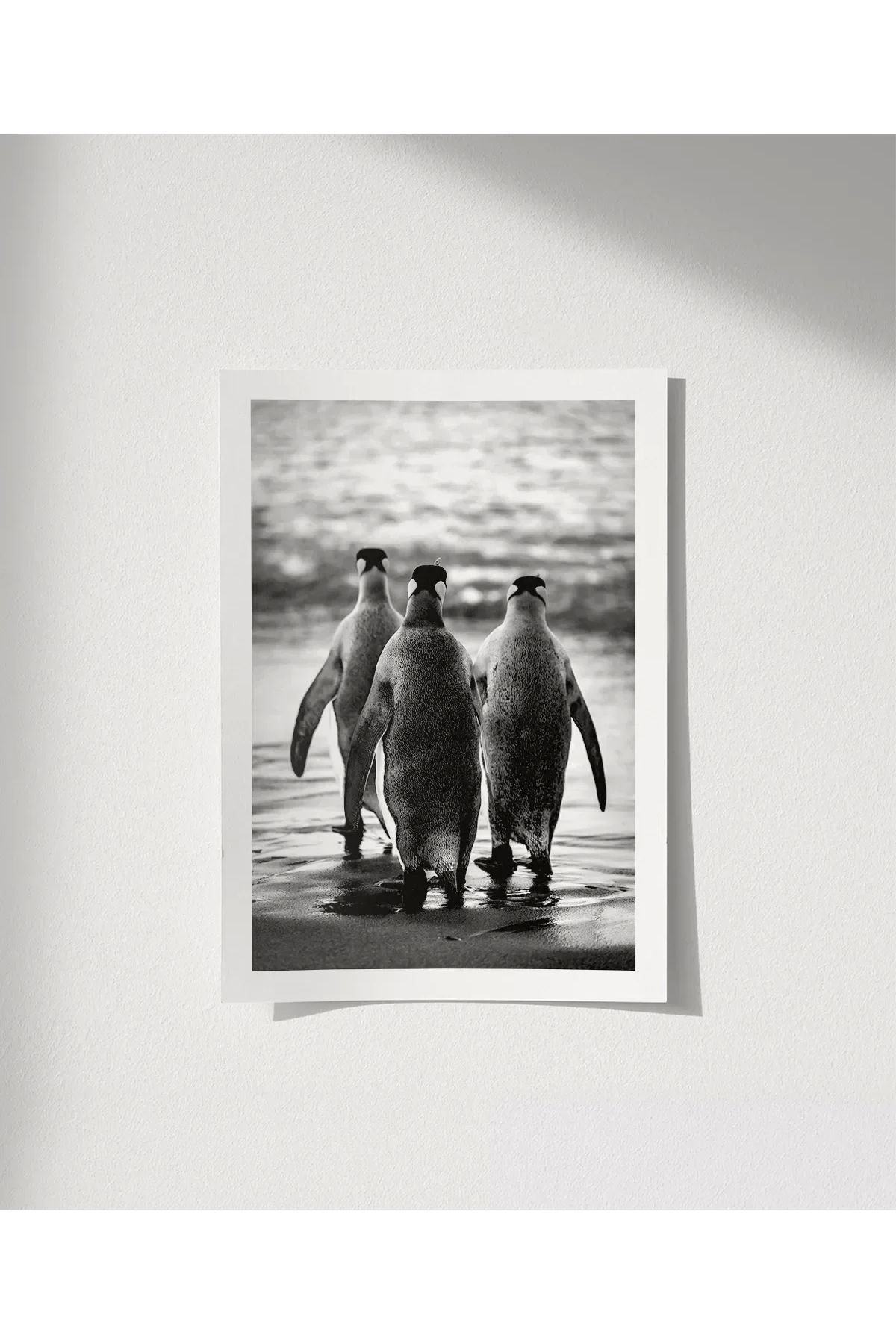VOGLOO Çerçevesiz Poster Penguen Kardeşliğ,