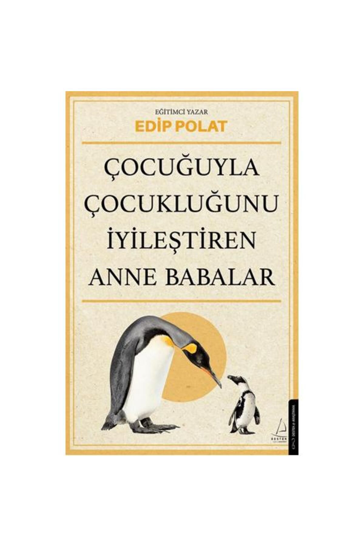 Destek Yayınları Çocuğuyla Çocukluğunu İyileştiren Anne Babalar
