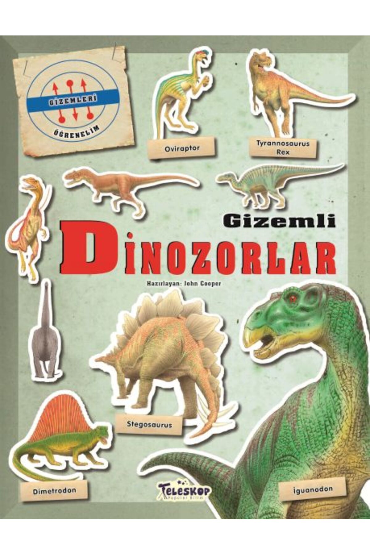 Destek Yayınları Gizemleri Öğrenelim Gizemli Dinozorlar
