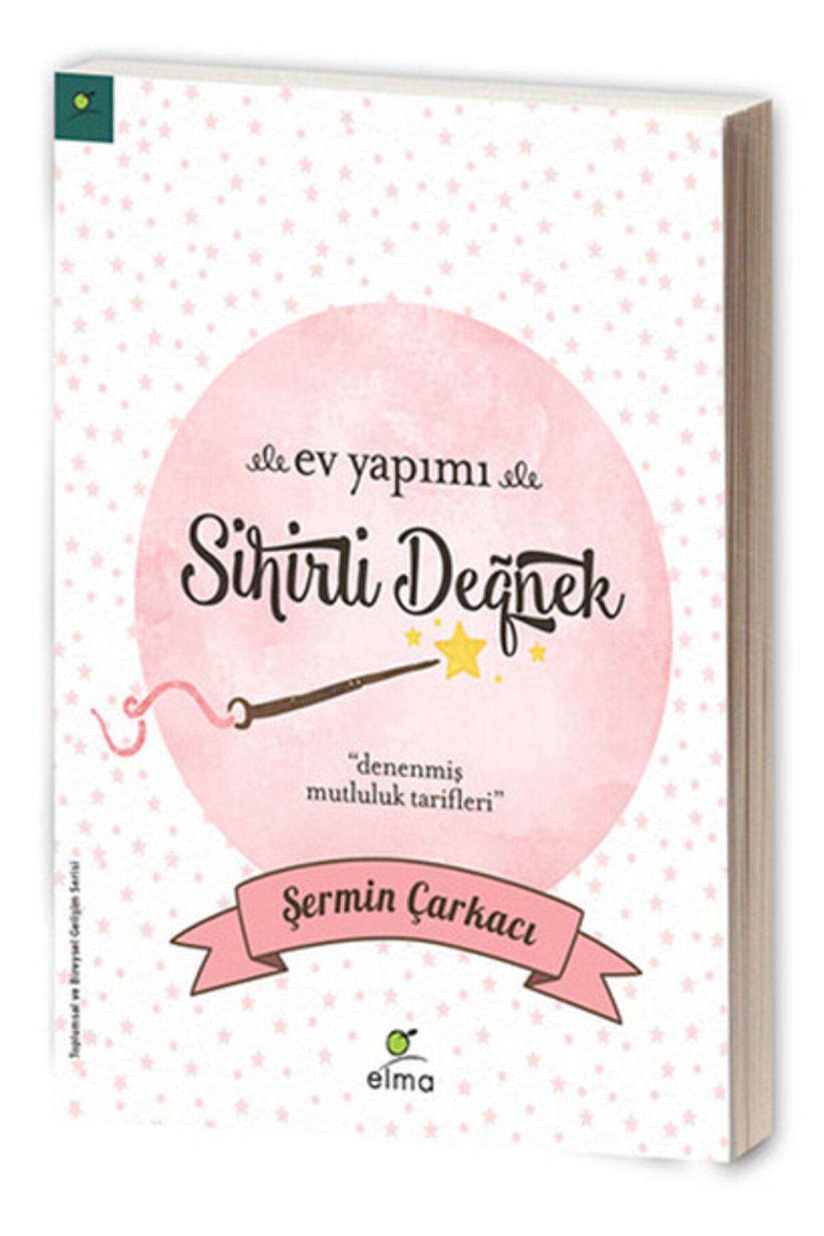 Destek Yayınları Ev Yapımı Sihirli Değnek