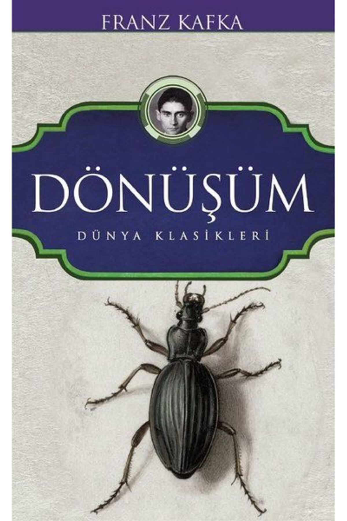 Koloni Çocuk Dönüşüm