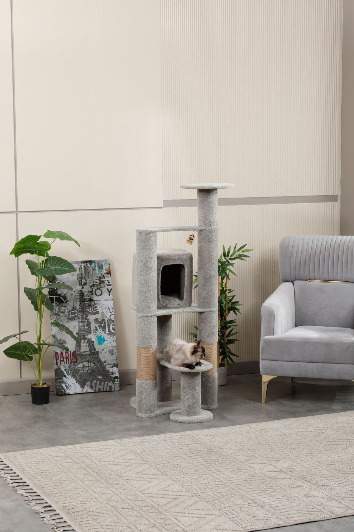 Pati Store Kedi Evi , Kedi Yuvası , Kedi Oyun Evi - Moskova Gri