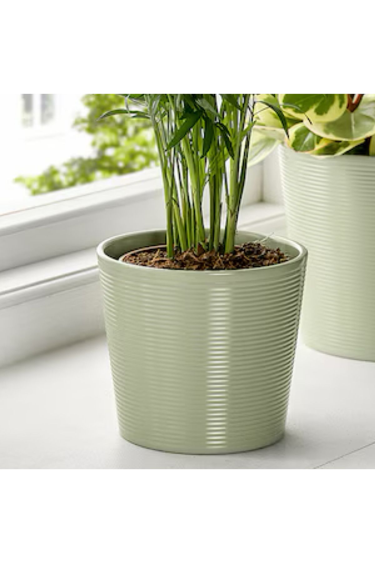 IKEA Brokspirea 9 cm Açık Yeşil Toprak Kap Saksı