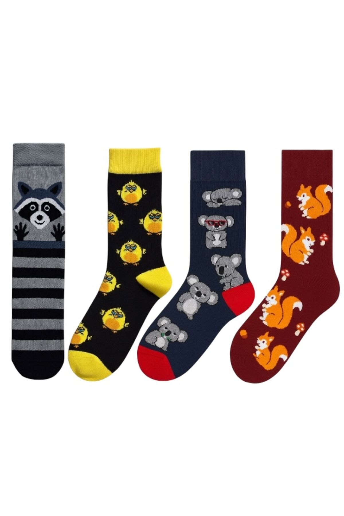 Goma Goma Socks Figürlü Desenli 4 lü Renkli Eğlenceli Unisex Çorap Seti Rakun Kuş Koala Sincap Çorap Kombini