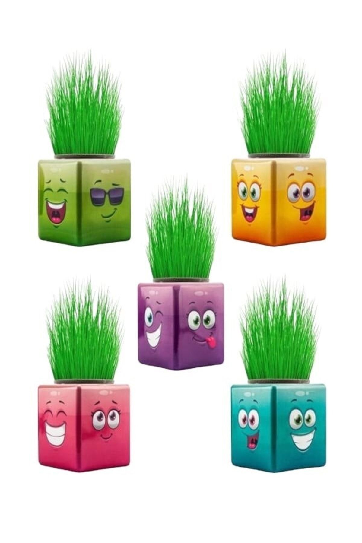 Oyunsal Bambamtoys 17 Adet Karışık 3 Tarafı Emojili Küp Çim Adamlar Okul Ve Okul Öncesi Hediyelik Çim Adam