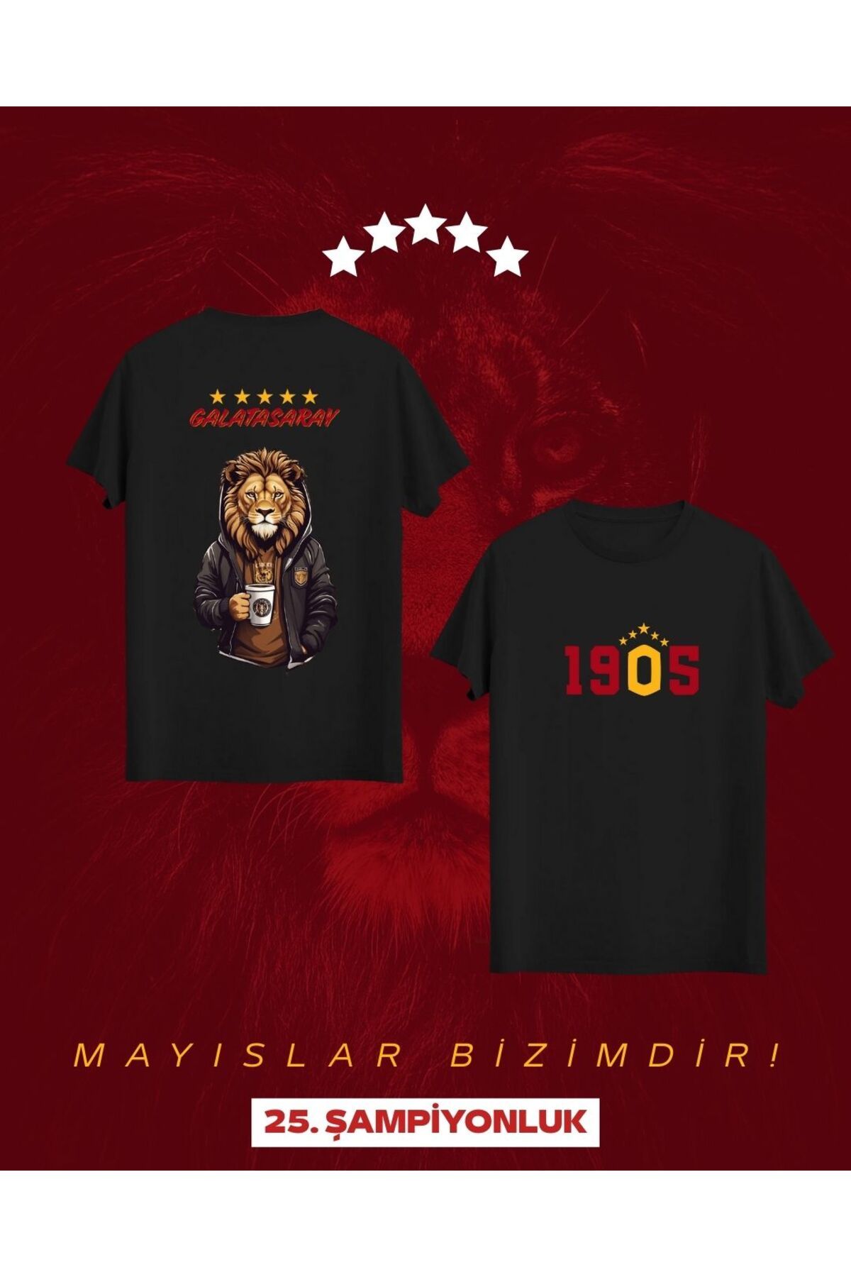 Qool Collection Galatasaray Hoodie Aslan Tişörtü – 1905 Özel Tasarım (25. Şampiyonluk) Siyah