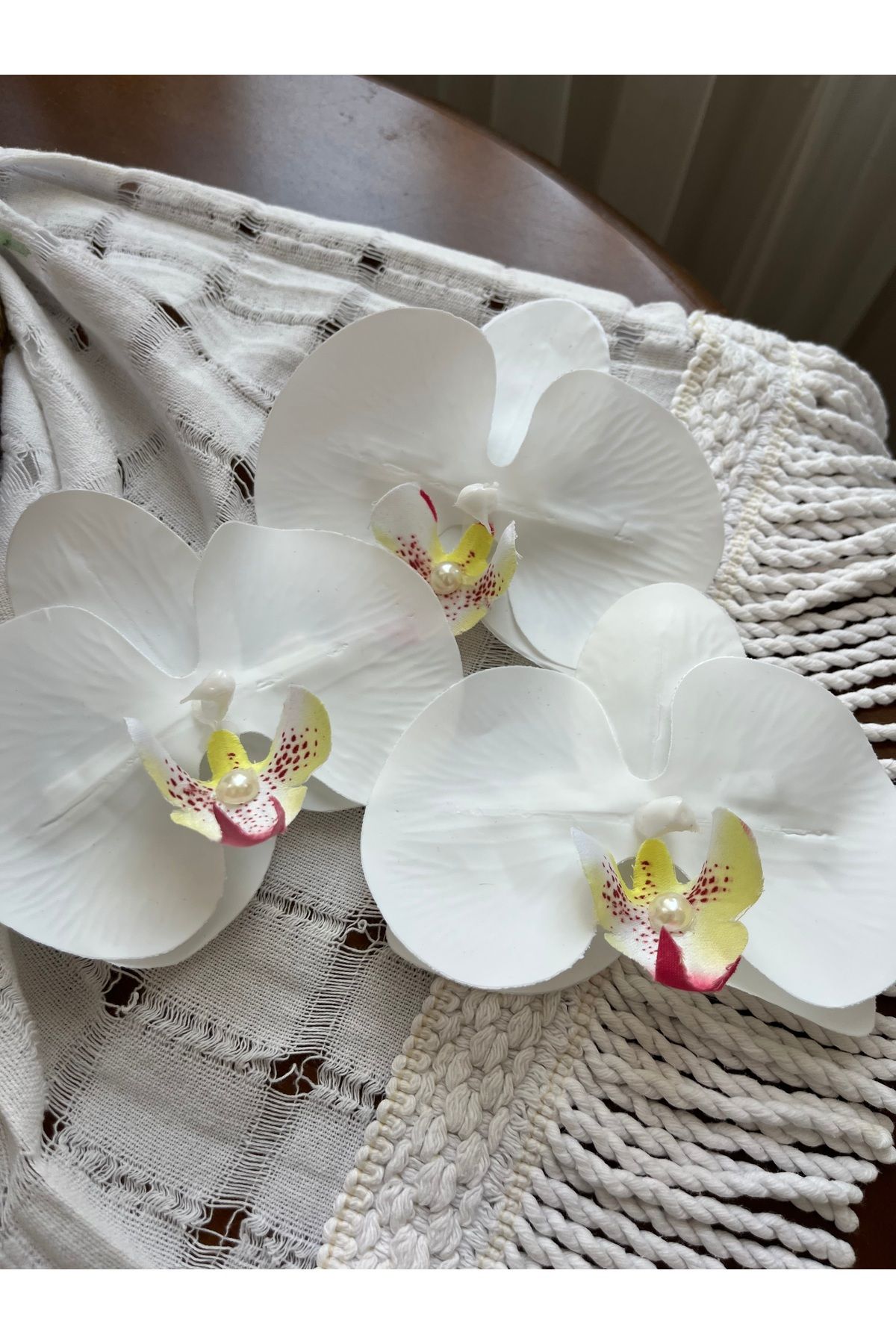CLA Aloha Orkide Toka