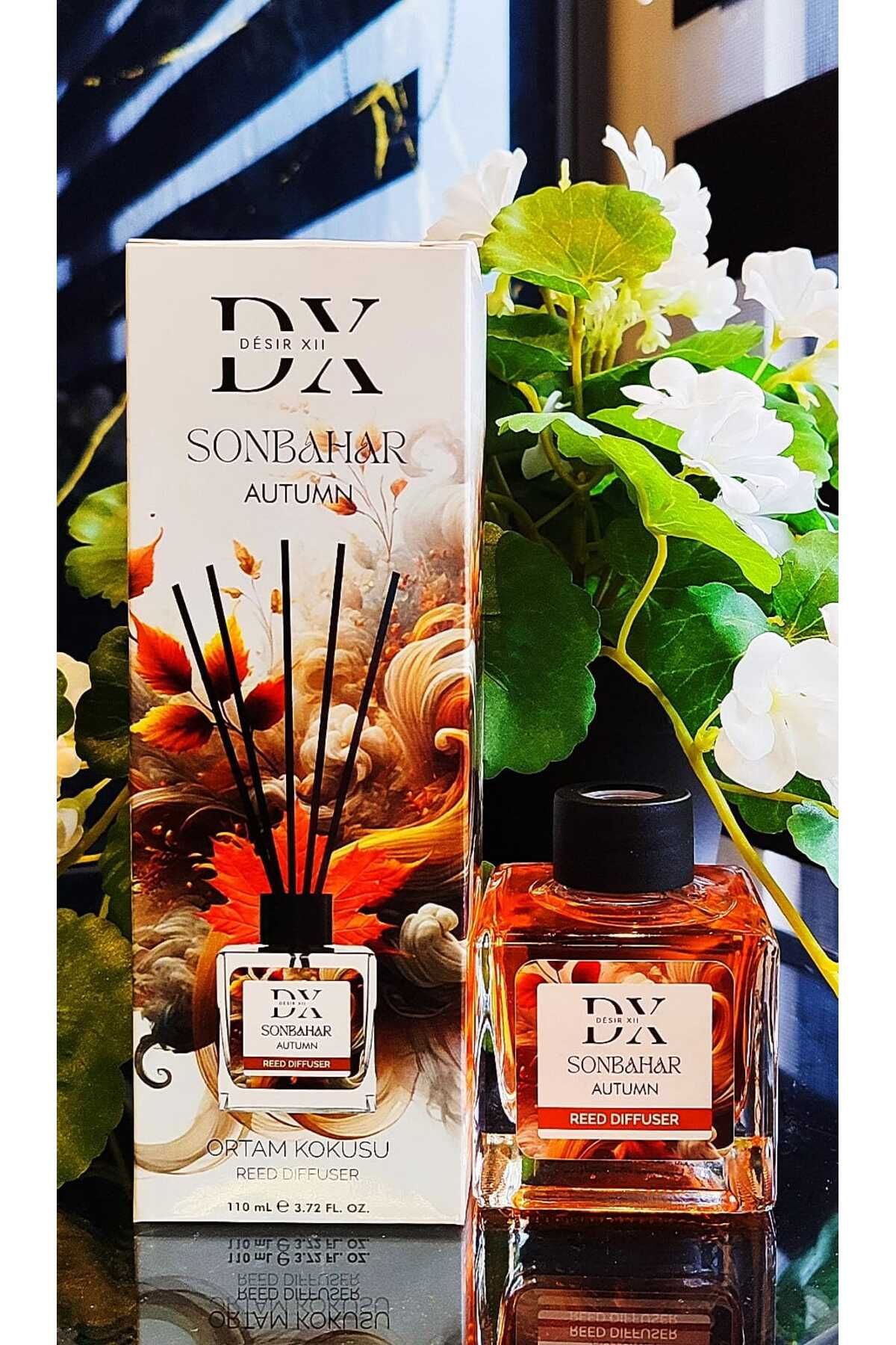 loura SONBAHAR ETKİLİ ORTAM KOKUSU 110 ML
