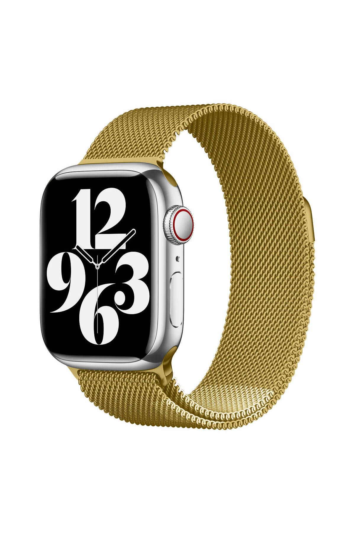 HİGUERA Watch 42mm Uyumlu KRD-01 Metal HGEA Kordon-Gold