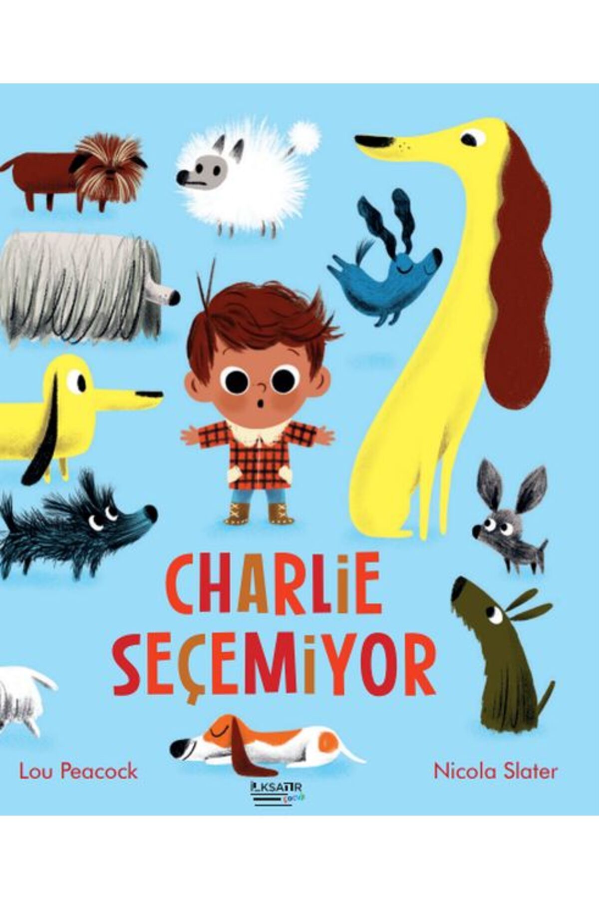 Karatay Yayınları Charlie Seçemiyor