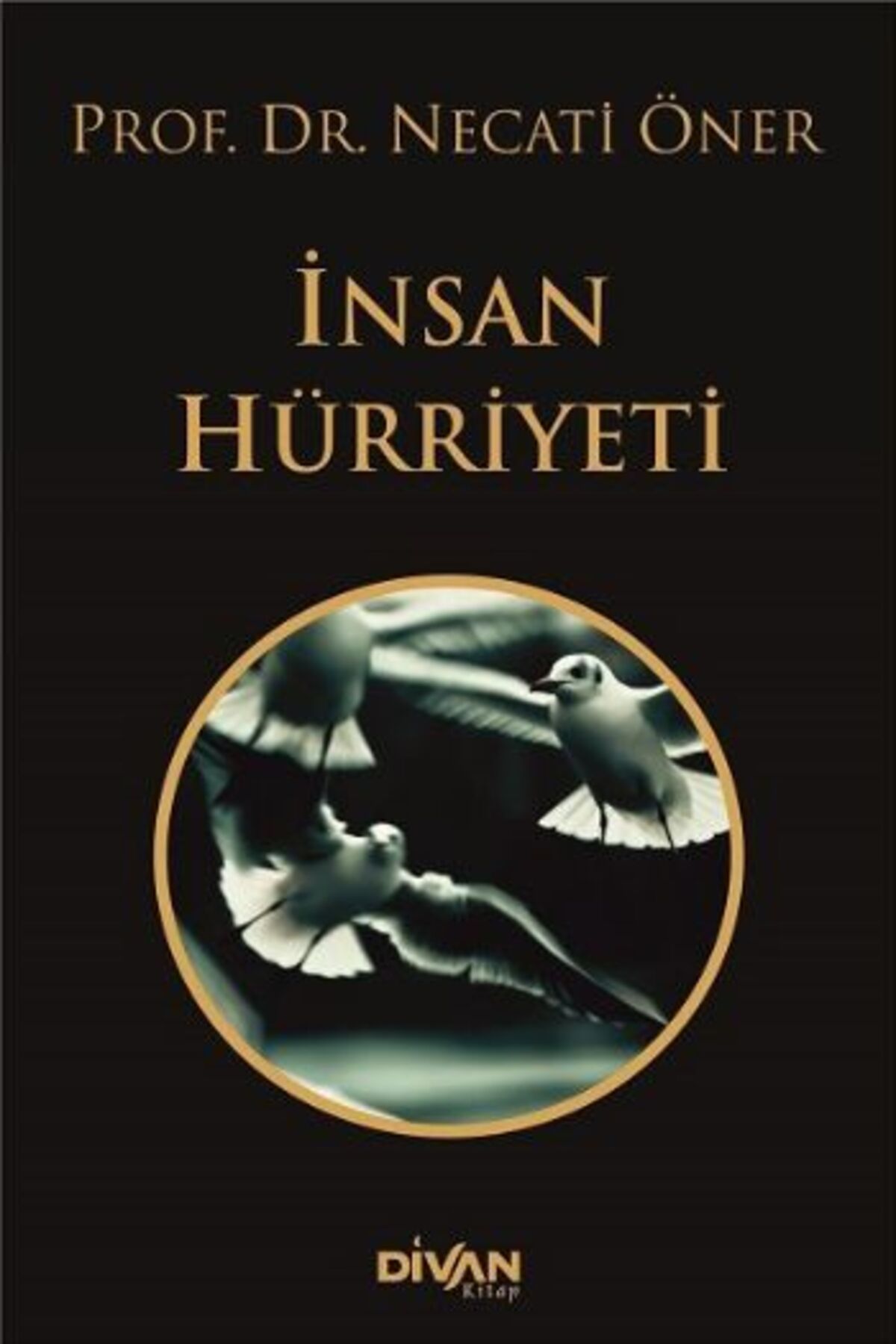 Divan Kitap İnsan Hürriyeti