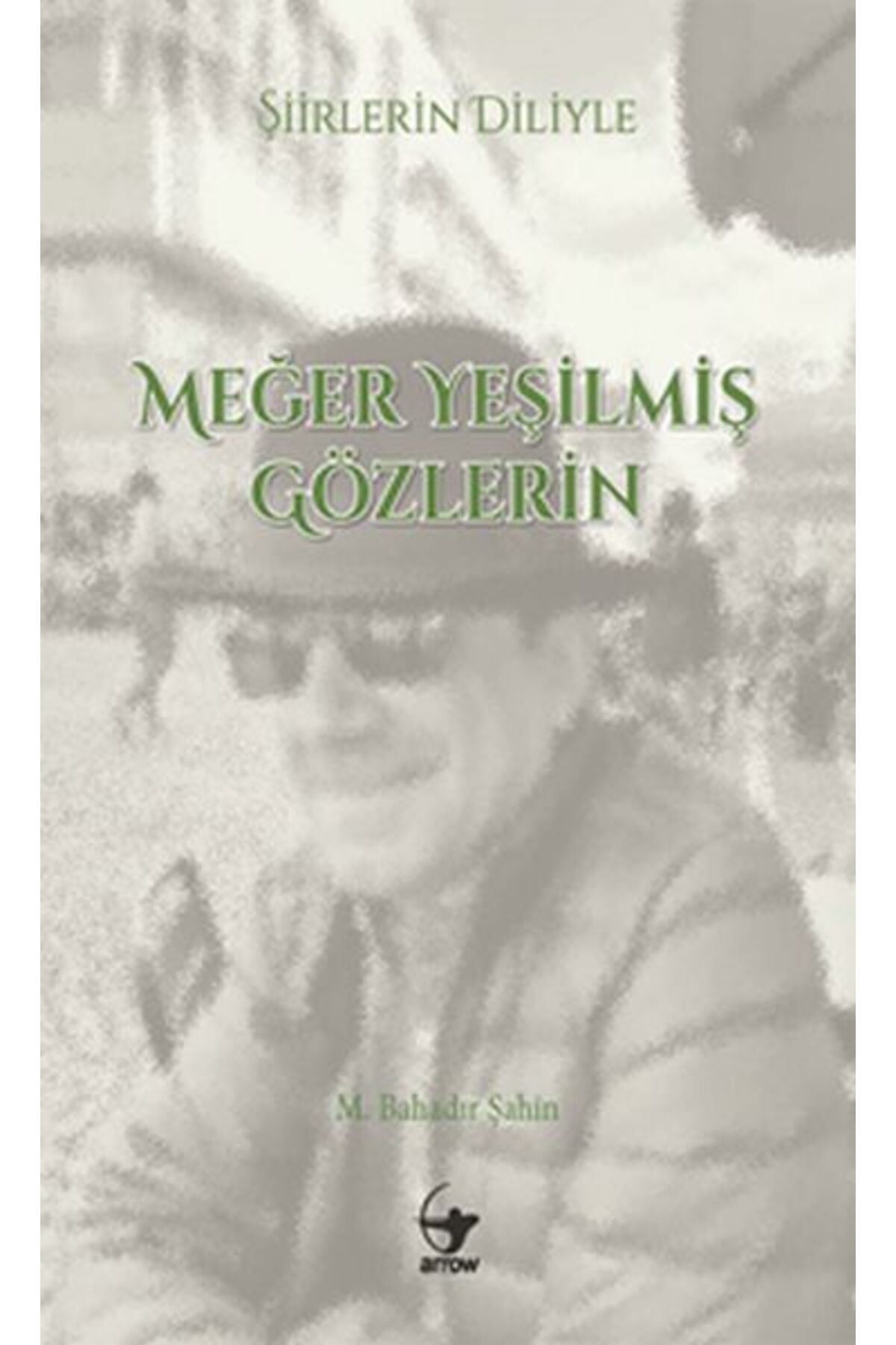 Arrow Kitap Şiirlerin Diliyle Meğer Yeşilmiş Gözlerin