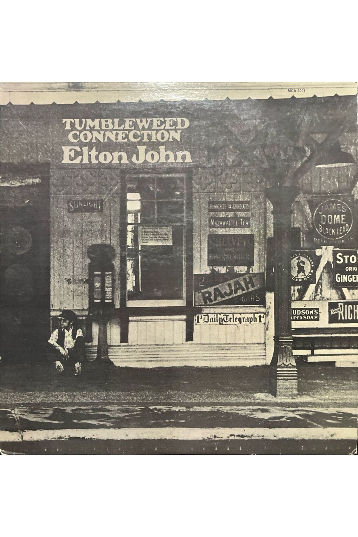 Plak İstasyonu Elton John Tumbleweed Connection LP Plak