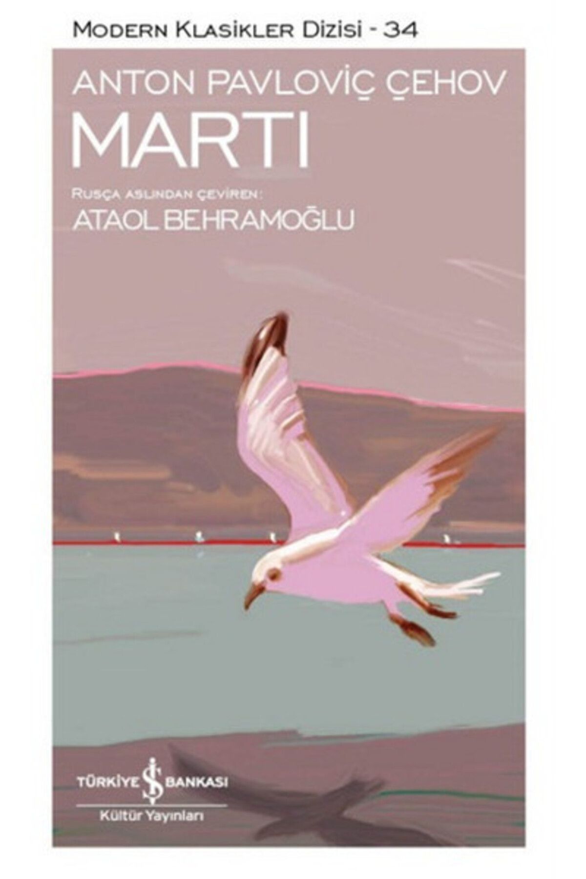 Destek Yayınları Martı Modern Klasikler Dizisi