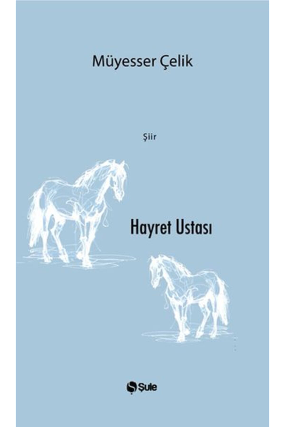 Karatay Yayınları Hayret Ustası
