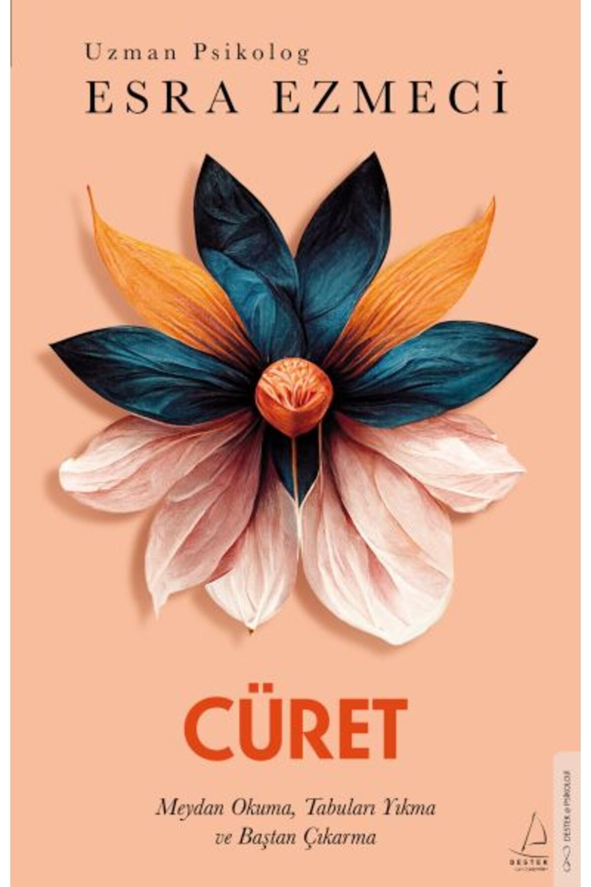Destek Yayınları Cüret
