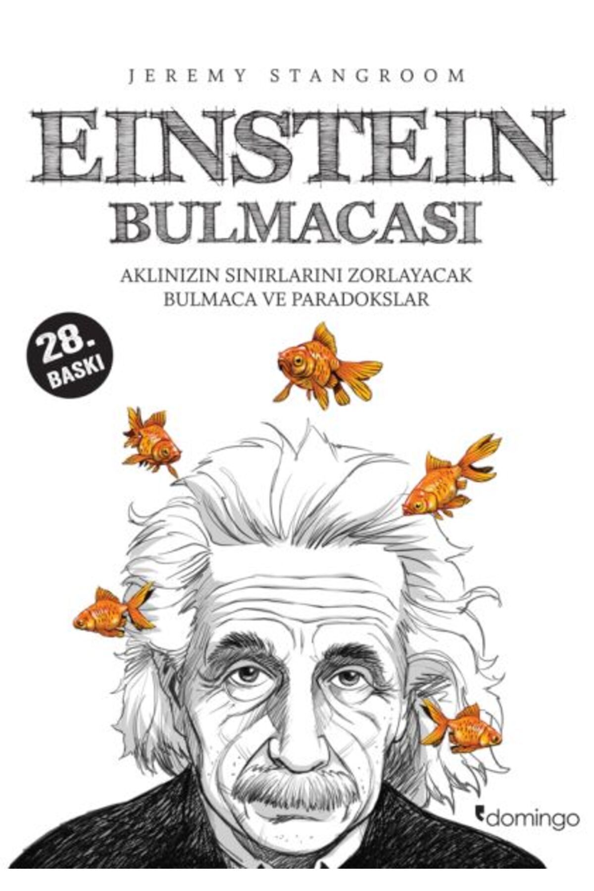 Karatay Yayınları Einstein Bulmacası Aklınızın Sınırlarını Zorlayacak Bulmaca ve Paradokslar