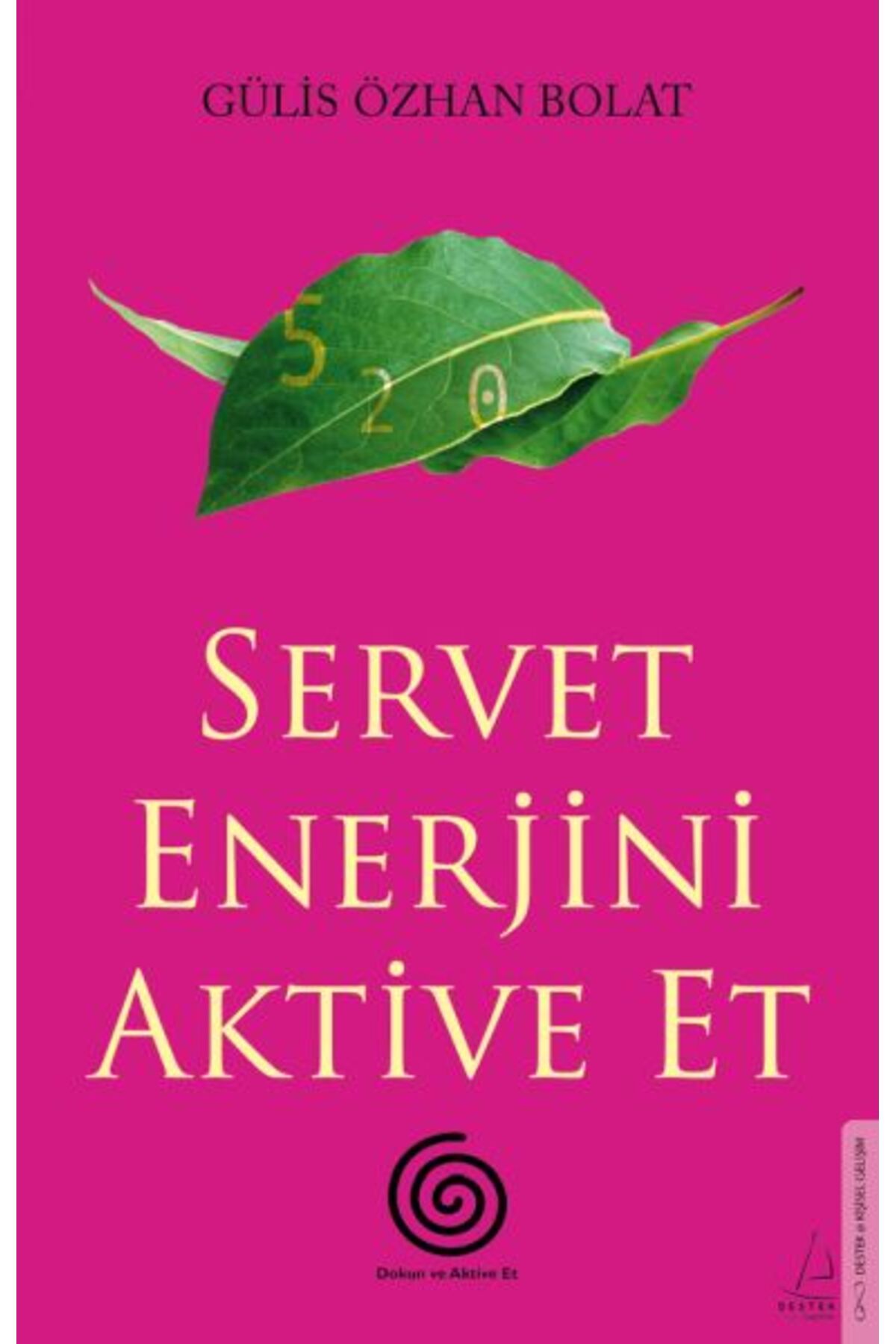 Destek Yayınları Servet Enerjini Aktive Et
