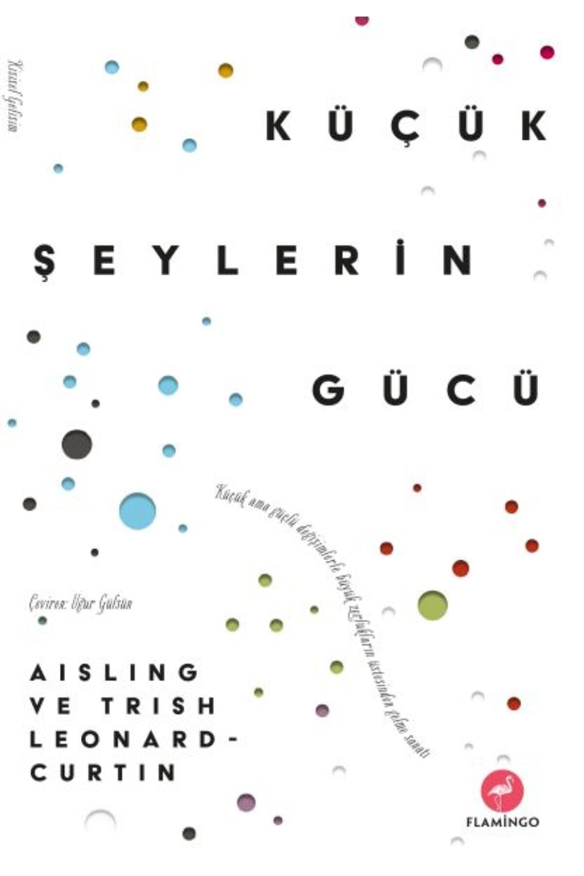 Flamingo Yayınları Küçük Şeylerin Gücü