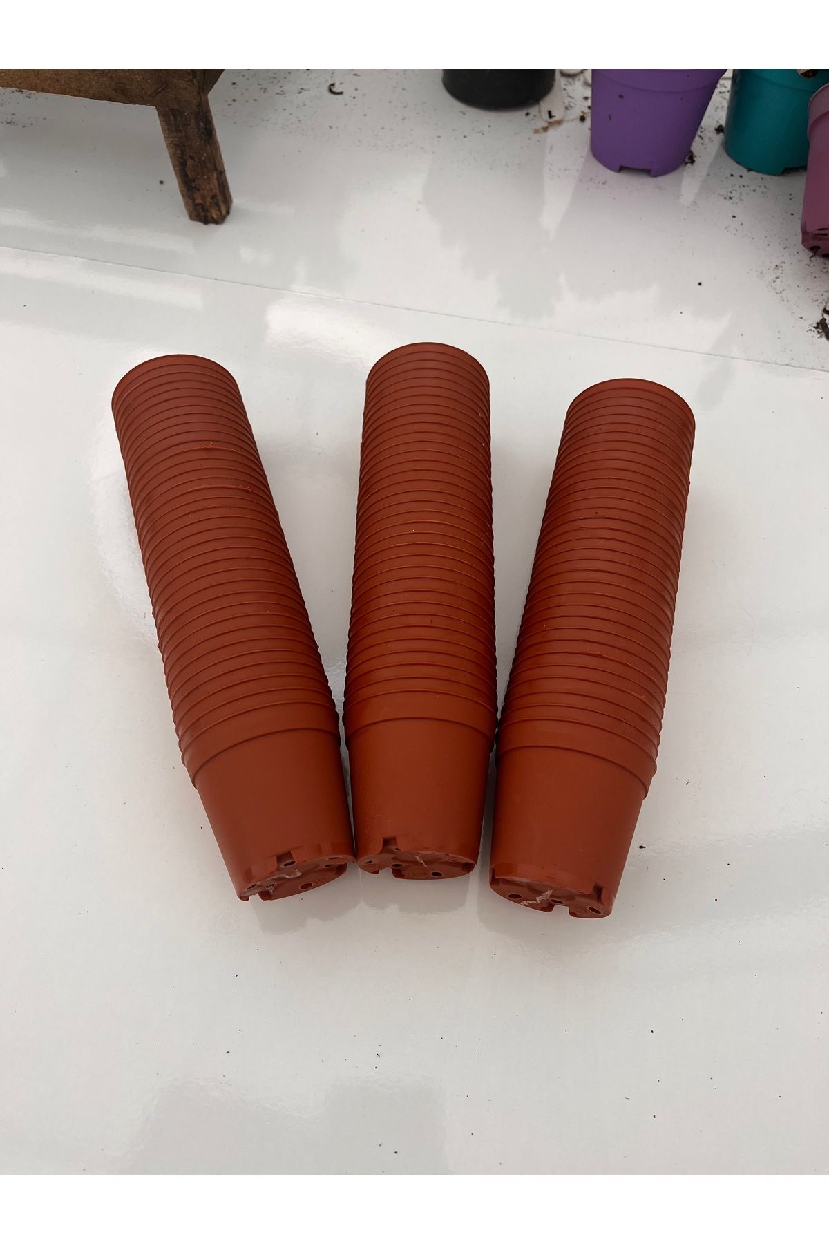 FİDEİSTE 5.5 cm üretim saksısı 5 adet