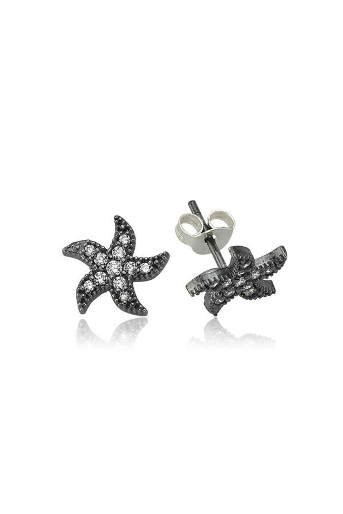 shop Deniz Yıldızı 925 Ayar Gümüş Küpe