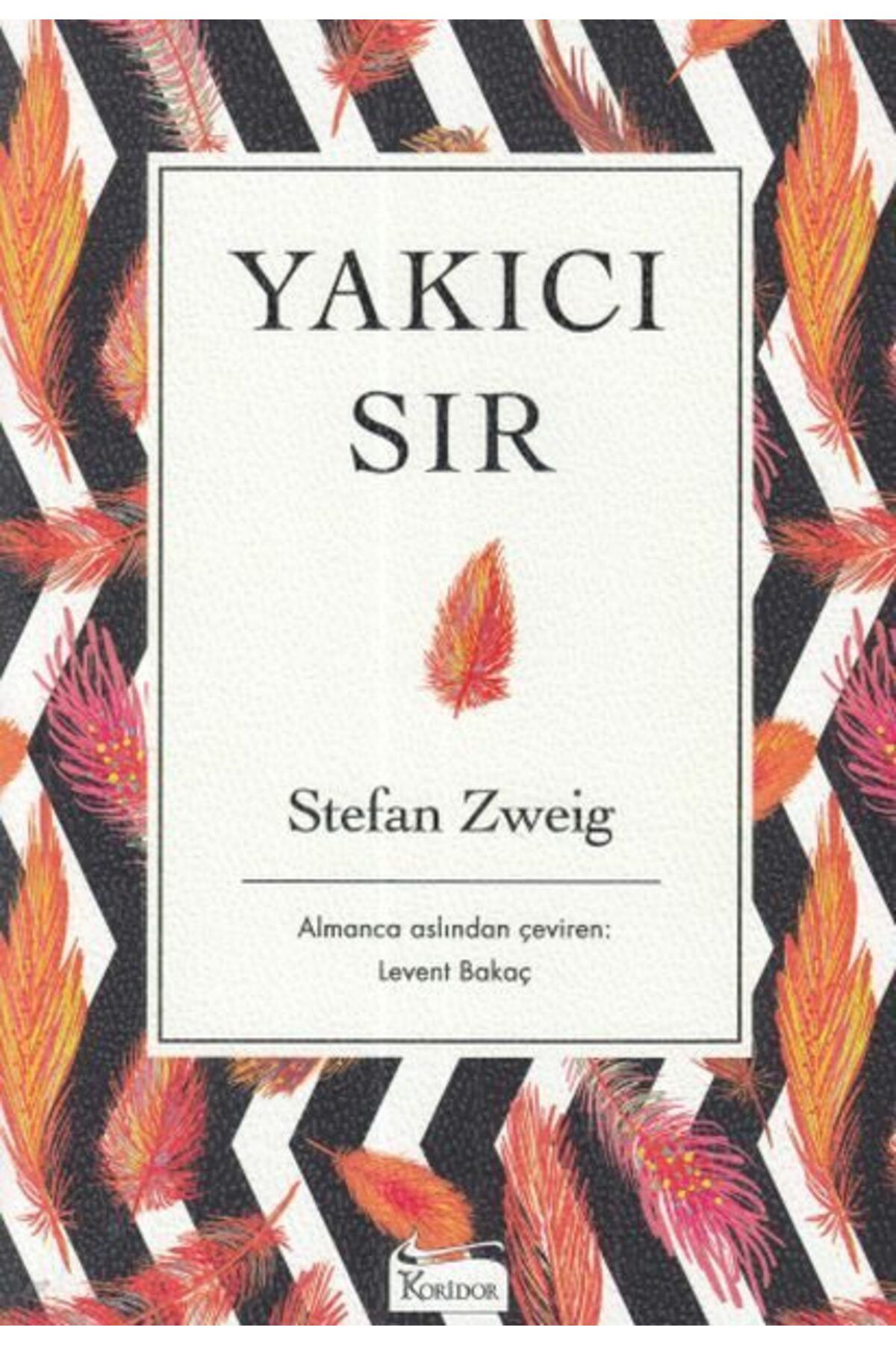 Koridor Yayıncılık Yakıcı Sır Ciltsiz