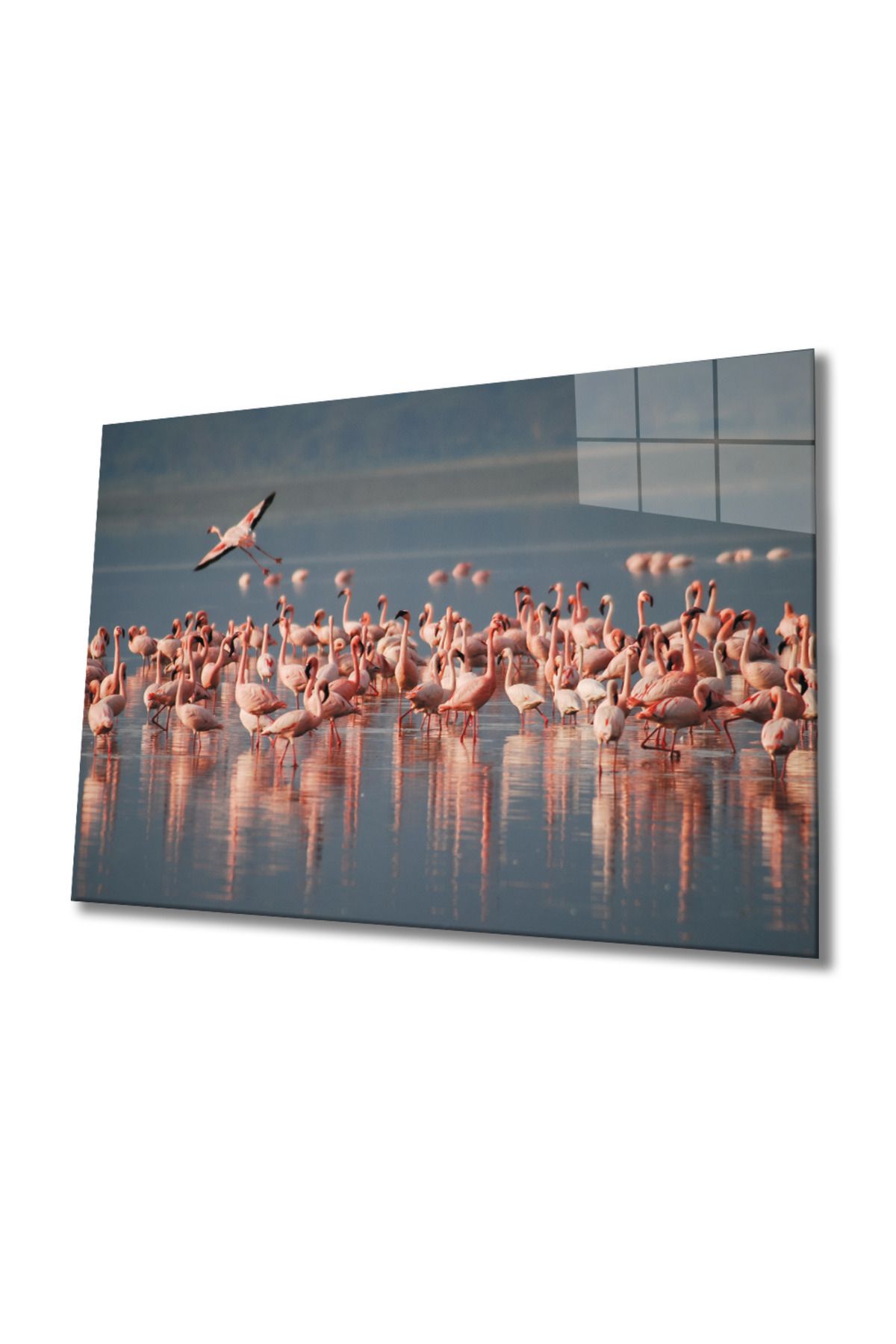 Evlika Flamingo Cam Tablo