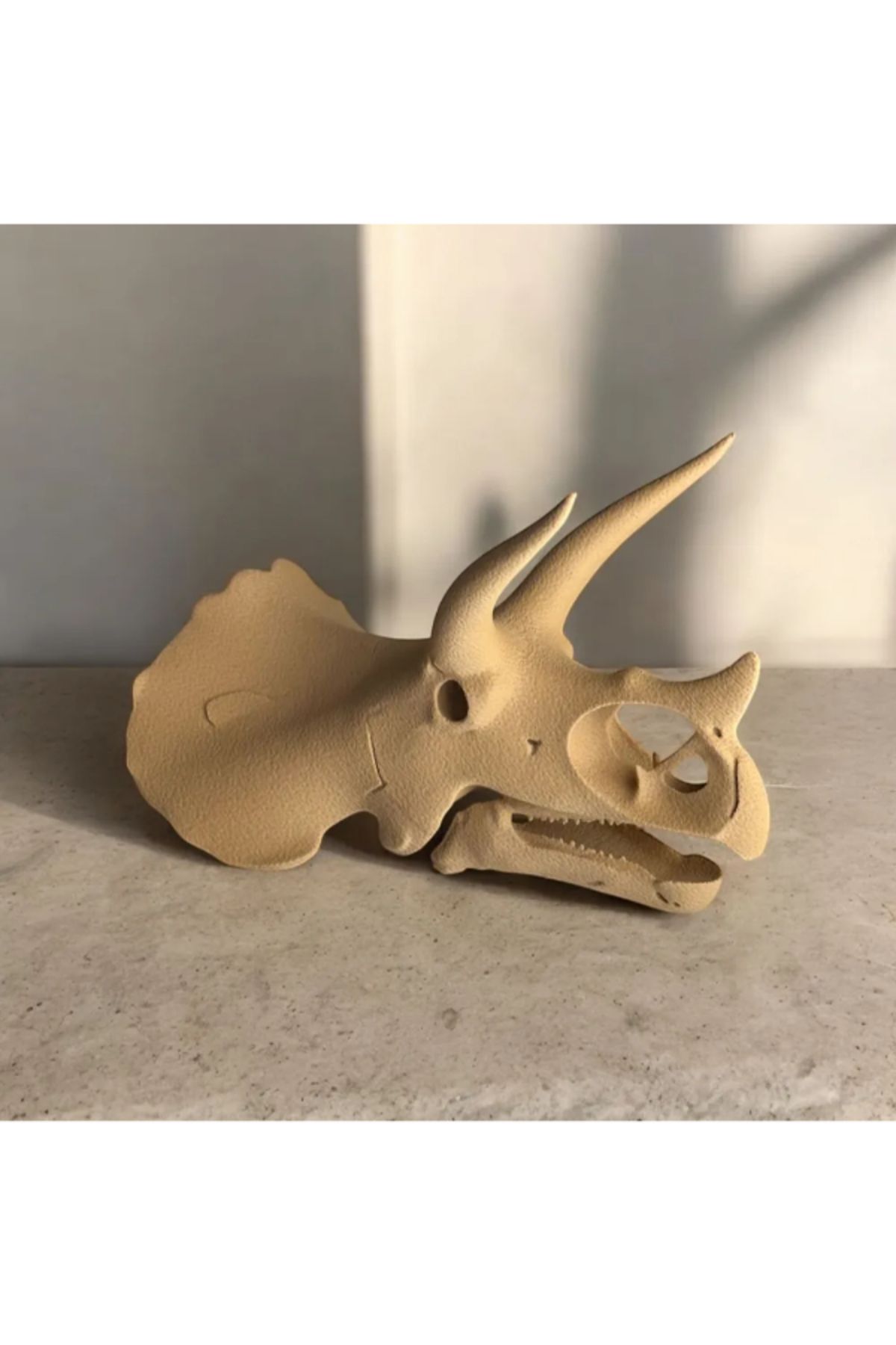 3d model s Triceratops Kafatası – 3D Baskı Dinozor Fosil Modeli
