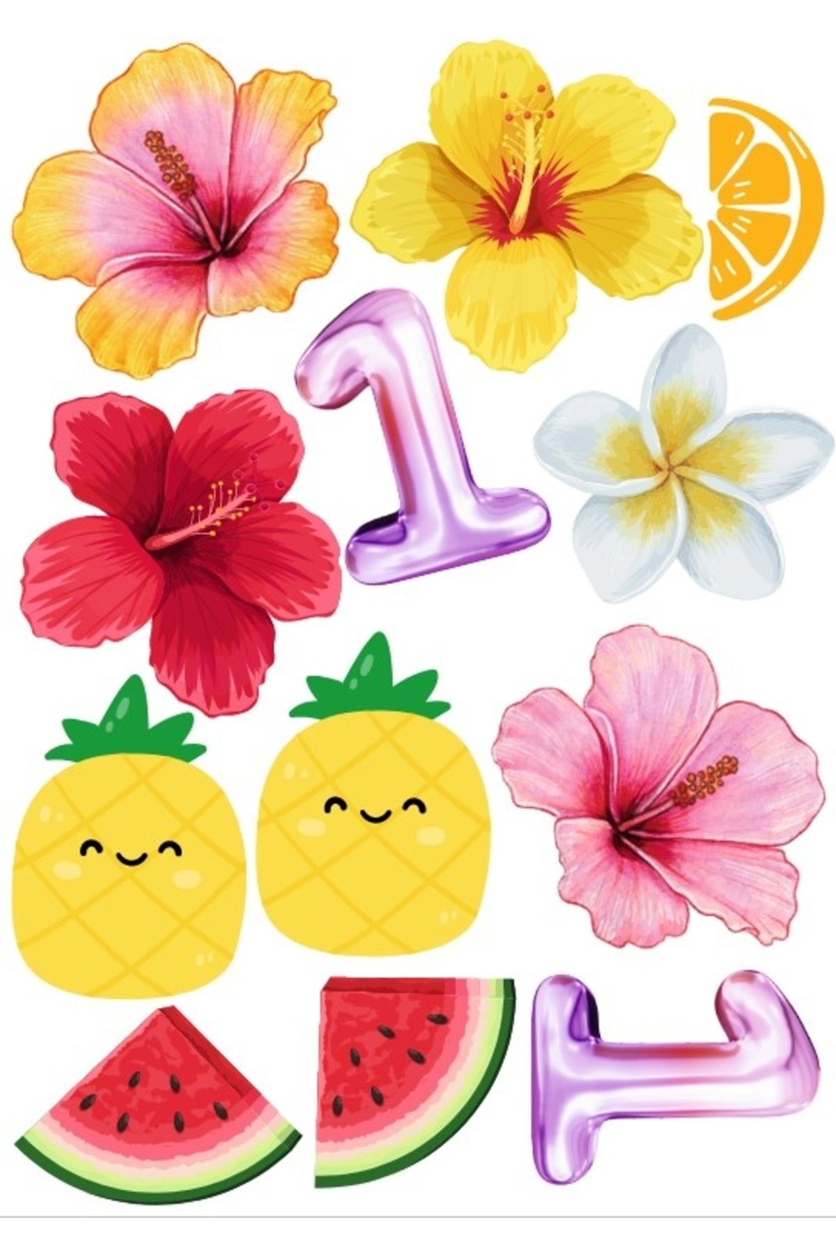 Reysa Tasarım Meyveler Sticker SEt
