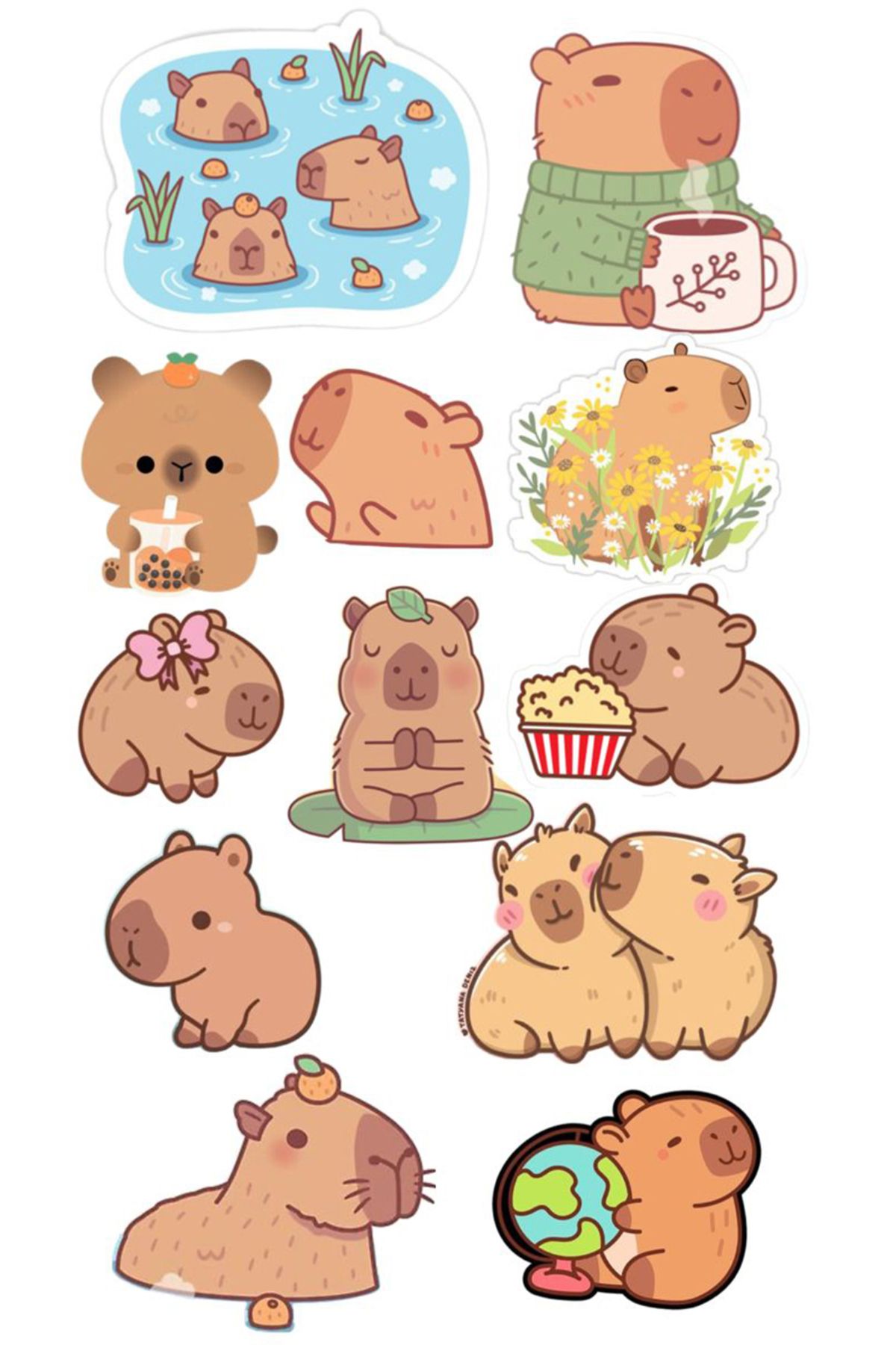BK Design Capybara Sticker Telefon Laptop Notebook Tablet Defter Matara Stiker Etiket ST1657