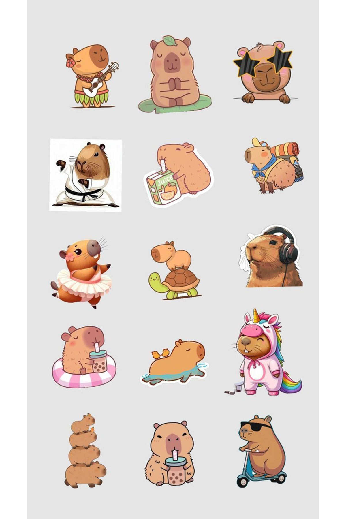 BK Design Capybara Sticker Telefon Laptop Notebook Tablet Defter Matara Stiker Etiket ST1782