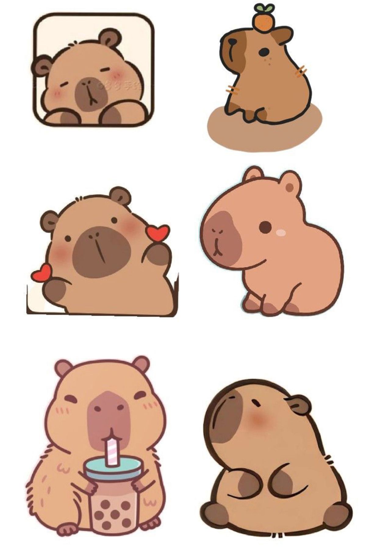 BK Design Capybara Sticker Telefon Laptop Notebook Tablet Defter Matara Stiker Etiket ST1742