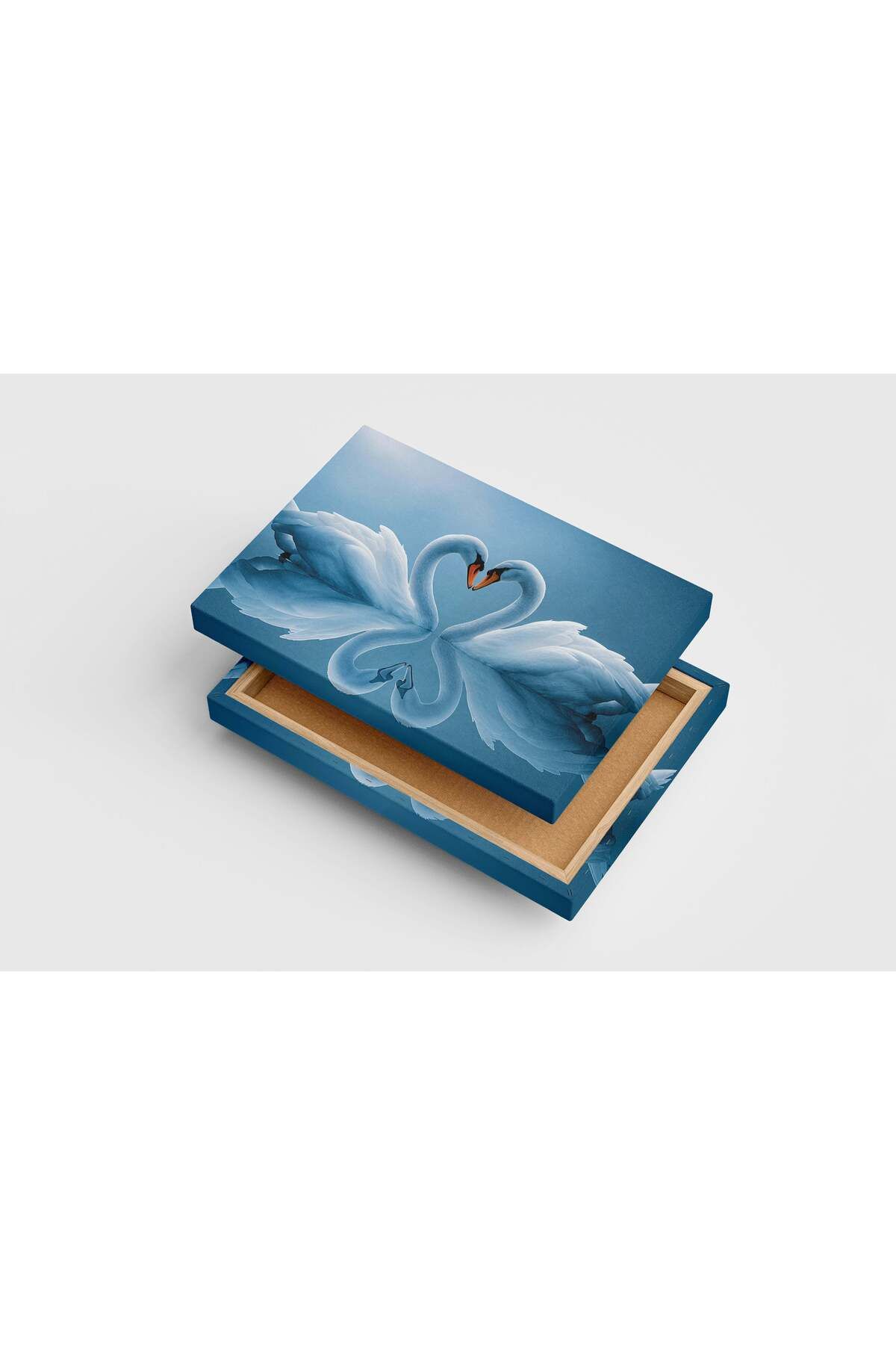 Wallivo love swans, art, kanvas tablo