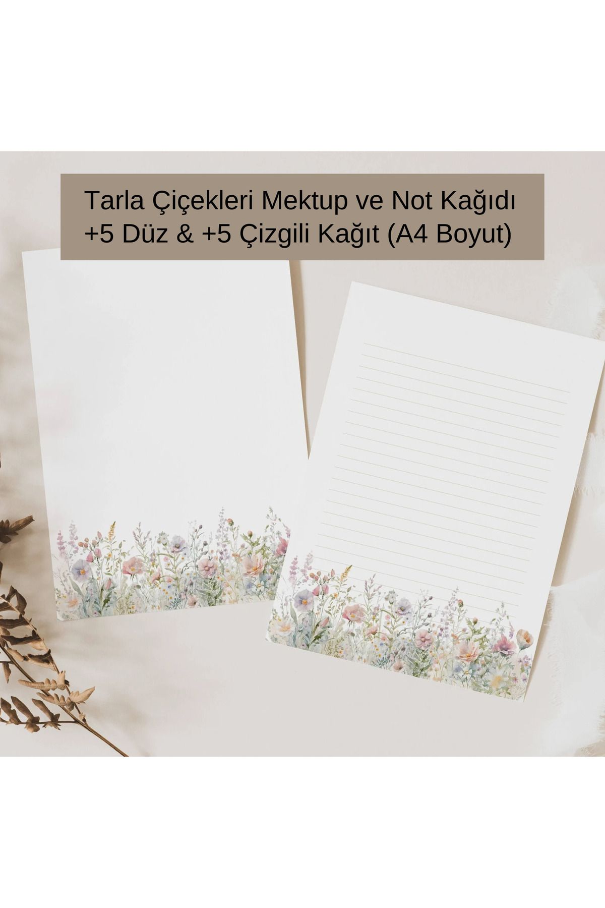 Welly Jones Tarla Çiçekleri Mektup Not Kağıdı, +5 Düz kağıt +5 Çizgili Kağıt (A4 Boyut)