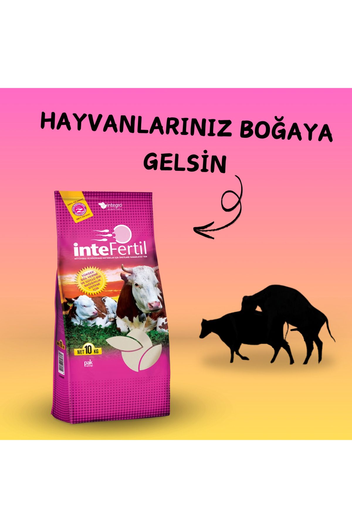 İntegro Kızgınlık Göstermeyen İnekler İçin İnte Fertil 10kg