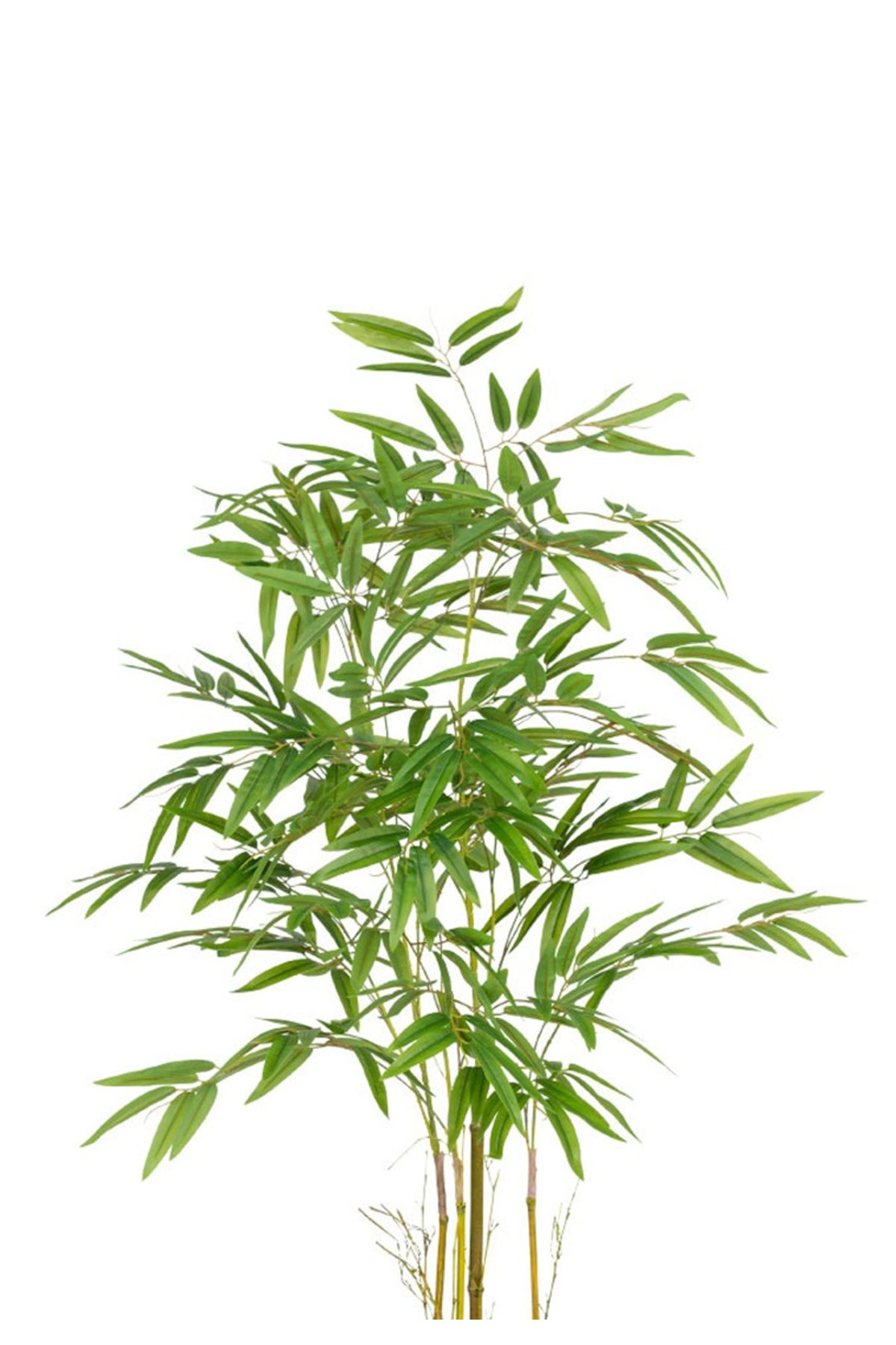 Generic-Artificial Bamboo Tree (4 Branches) with Round Plastic Stand 2