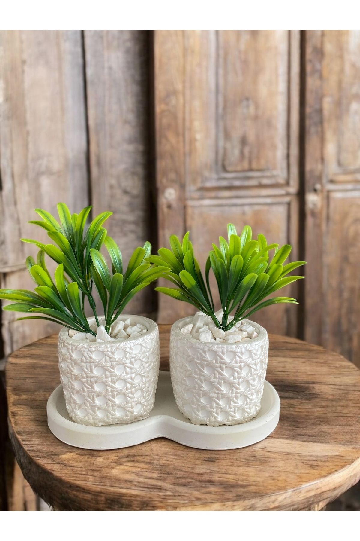 Momiko Hazeran Desenli 3lü Dekoratif Minik Beton Sukulent Saksısı, Hazeran Saksı, ÇİÇEKSİZDİR, 7X8 cm