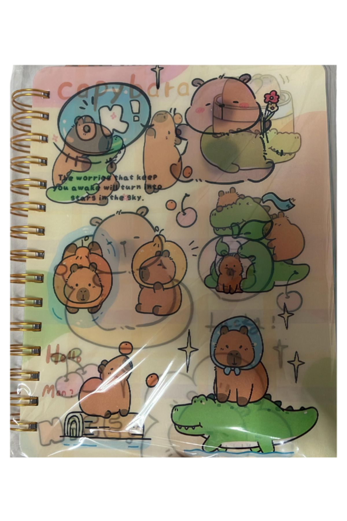 BalonKasaba Capybara Kapibara Ayraçlı Çizgili Defter 3D TV Defter Kapağı Değişken Özellik Telli Defter Hediyelik