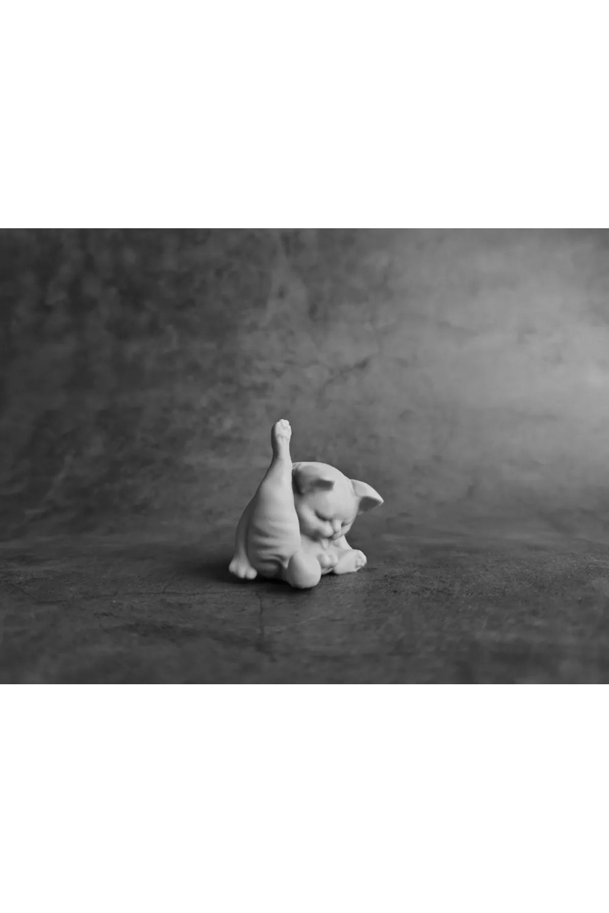 3DŞehri Temizlenen Kedi Anahtarlık | 7 CM
