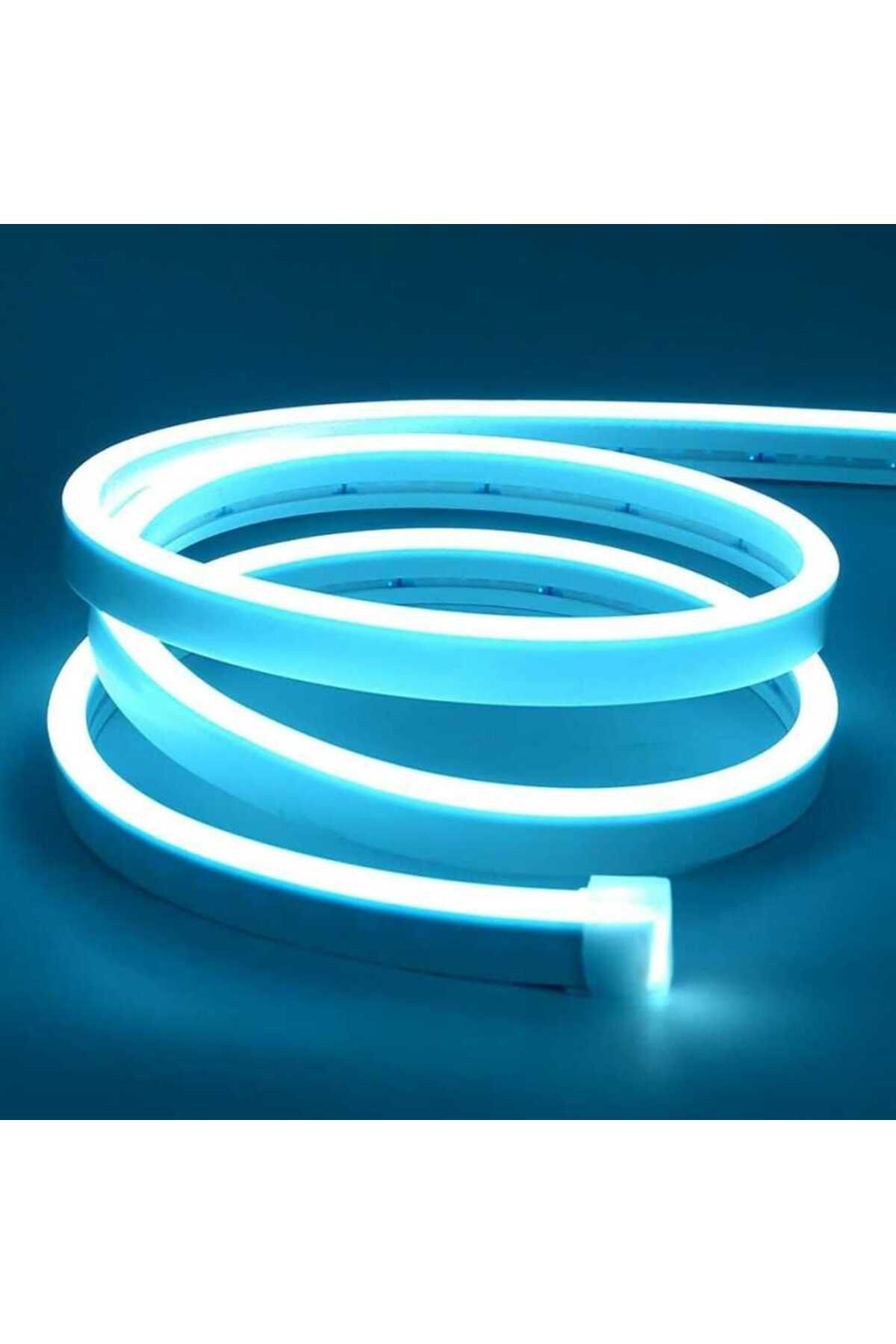 RiverWorld River World 5 Metrelik Neon Led Lamba Esnek Şerit