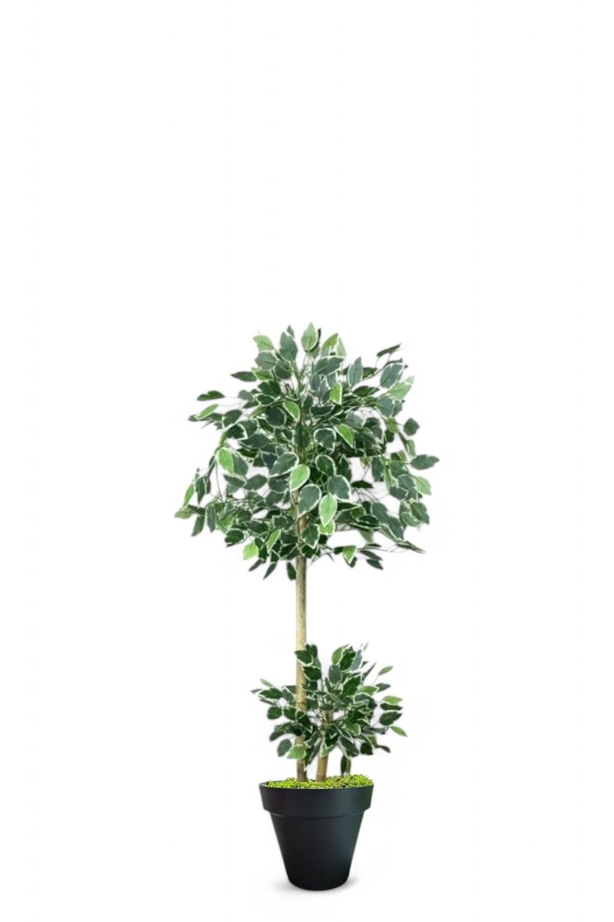 florayapaycicekcom 110 cm ficus yapay ağaç bambu 2 gövdeli siyah plastik saksı