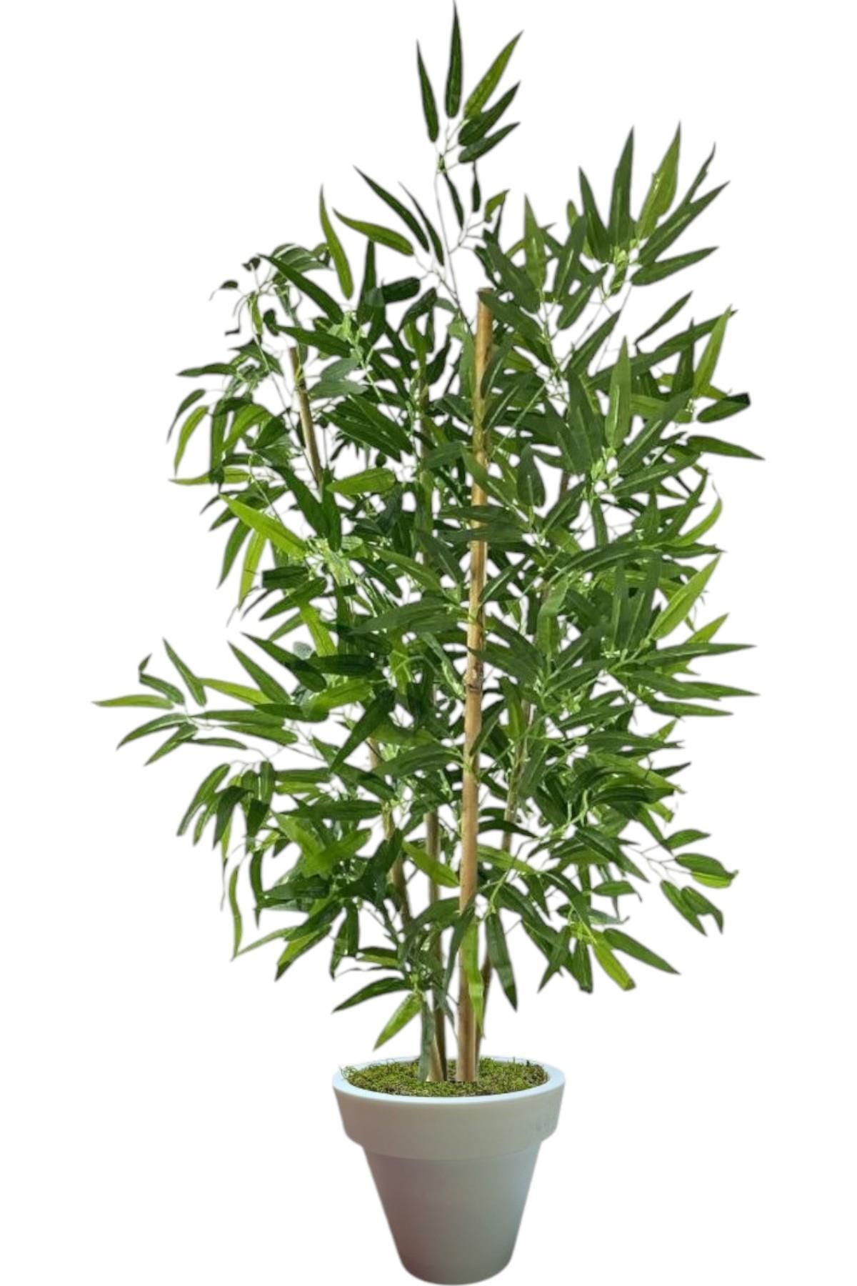 florayapaycicekcom 100 cm 4 gövdeli yapay bambu agacı beyaz plastik saksı