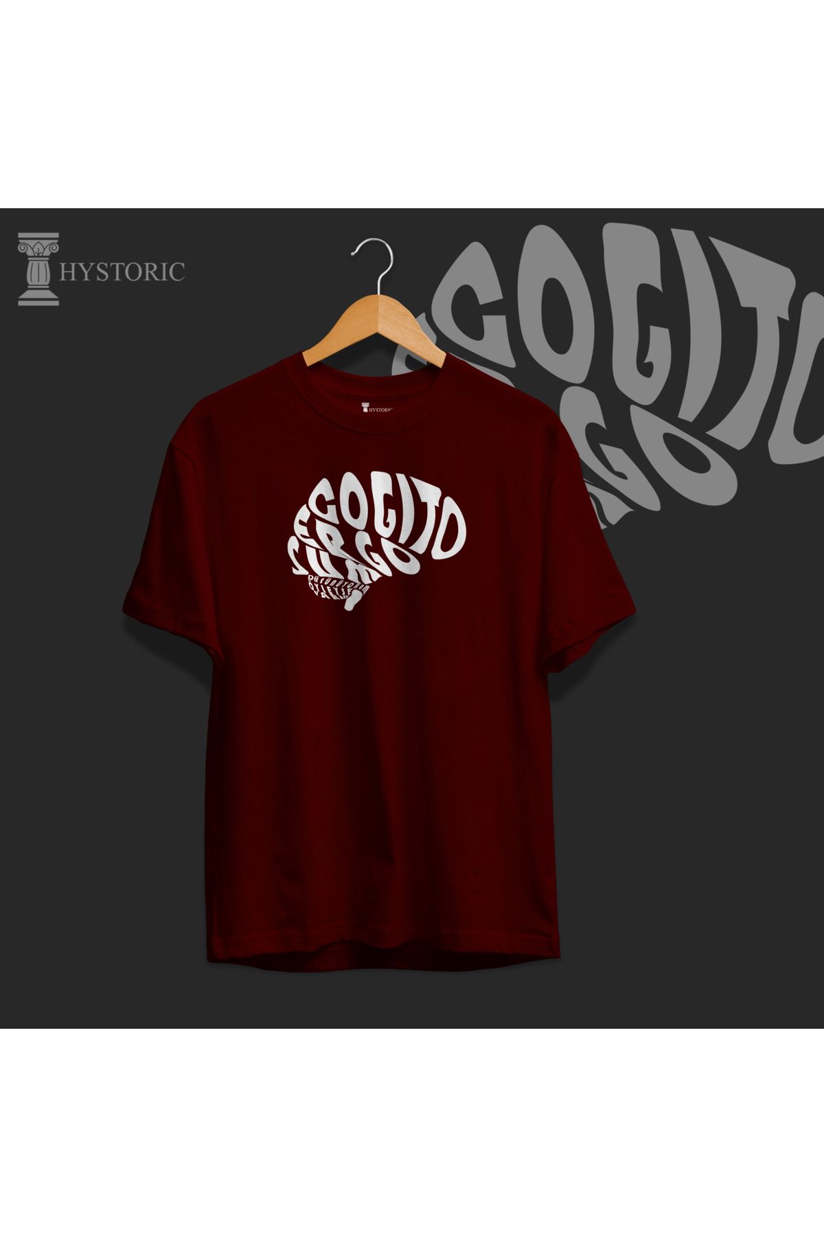 Hystoric Wear Descartes Baskılı Basic Tişört