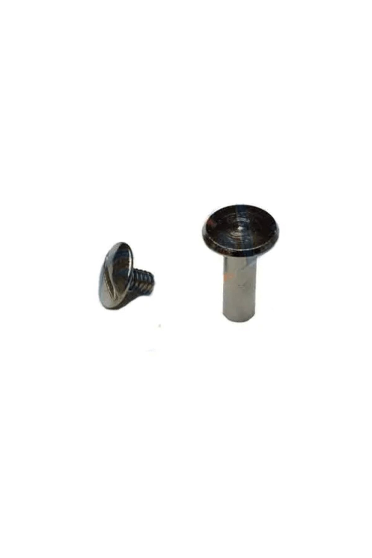 NEZADE STORE Cilt Menü, Katalog, Kartela Vidası, 13mm - Nikel, 100 Adet - Lisinya