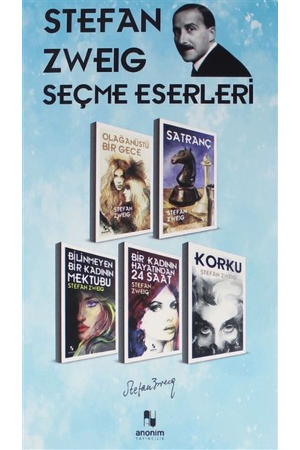 Destek Yayınları Stefan Zweig Seçme Eserleri 5 Kutu