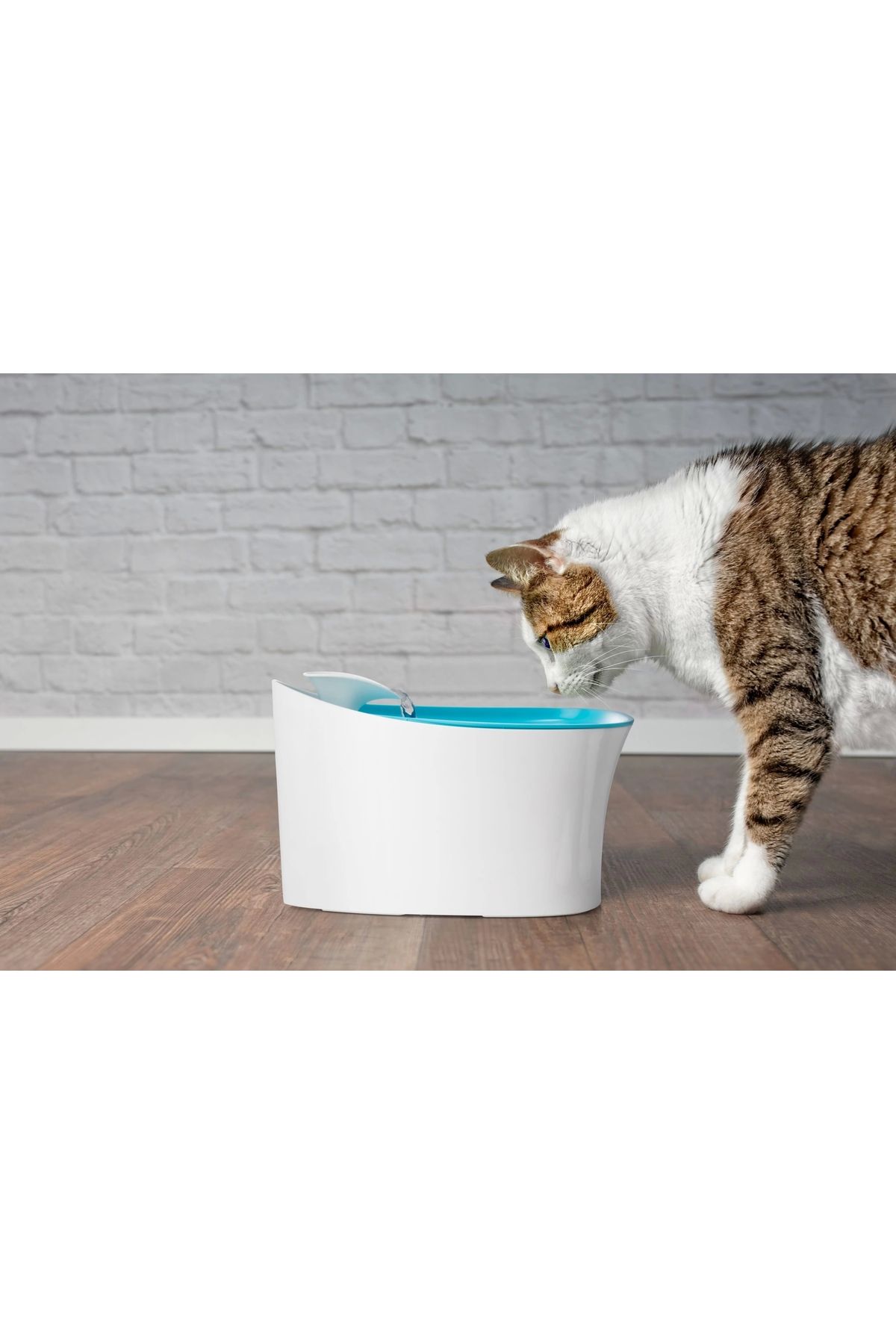 TTT Otomatik Uyarılı Kedi Köpek Su Kabı