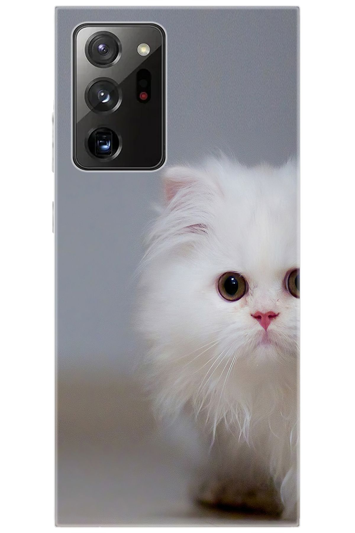 Ceppare Samsung Galaxy Note 20 ULTRA (SM-N985F) Uyumlu Kılıf Desenli Silikon Beyaz Kedi STK:139 CP-4cmKFjX