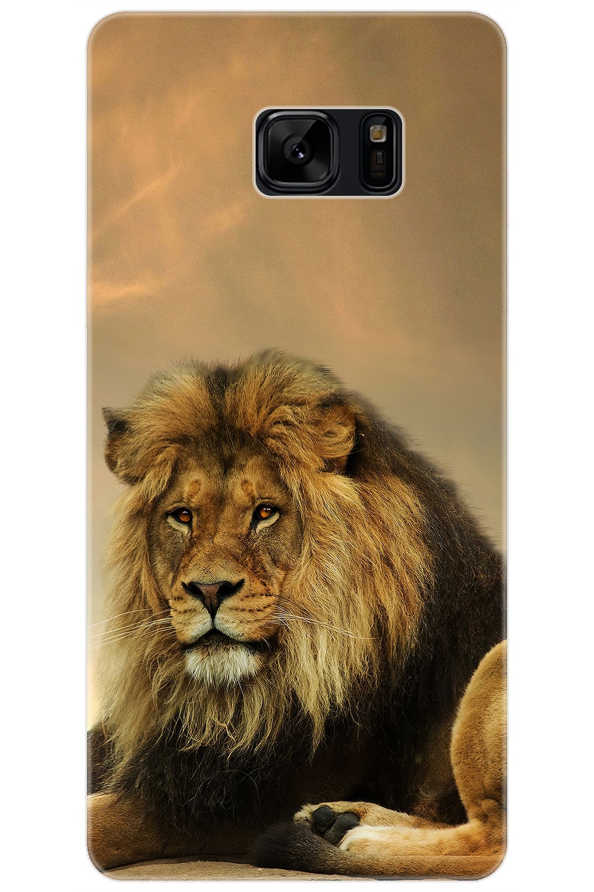 Ceppare Samsung Galaxy Note FE (SM-N935F) Uyumlu Kılıf Desenli İnce Silikon Kral Aslan STK:207 CP-cqVXNSe